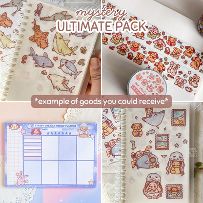 Ultimate Mystery Pack! 15 Items