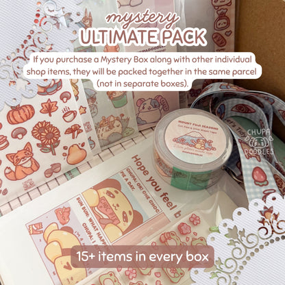 Ultimate Mystery Pack! 15 Items